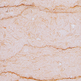 Citah Beige